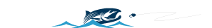 vector fish image